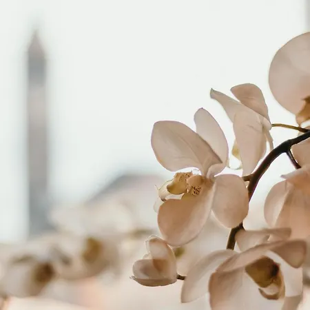 La Casa Del Cuore - Lakeside Leisure & Business Appartement