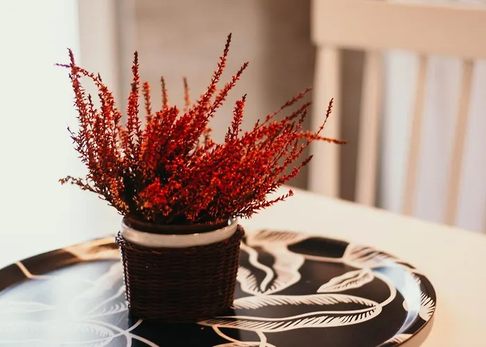 La Casa Del Cuore - Lakeside Leisure & Business Daire *